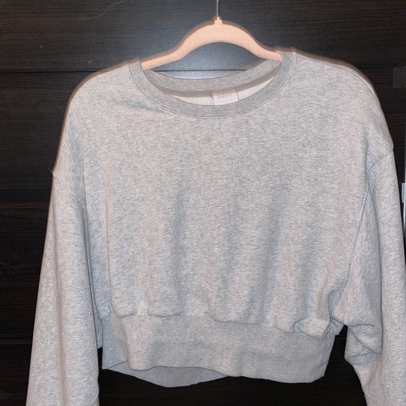 Cropped Sweatshirt ( Aritzia ) - Picture 1 of 3